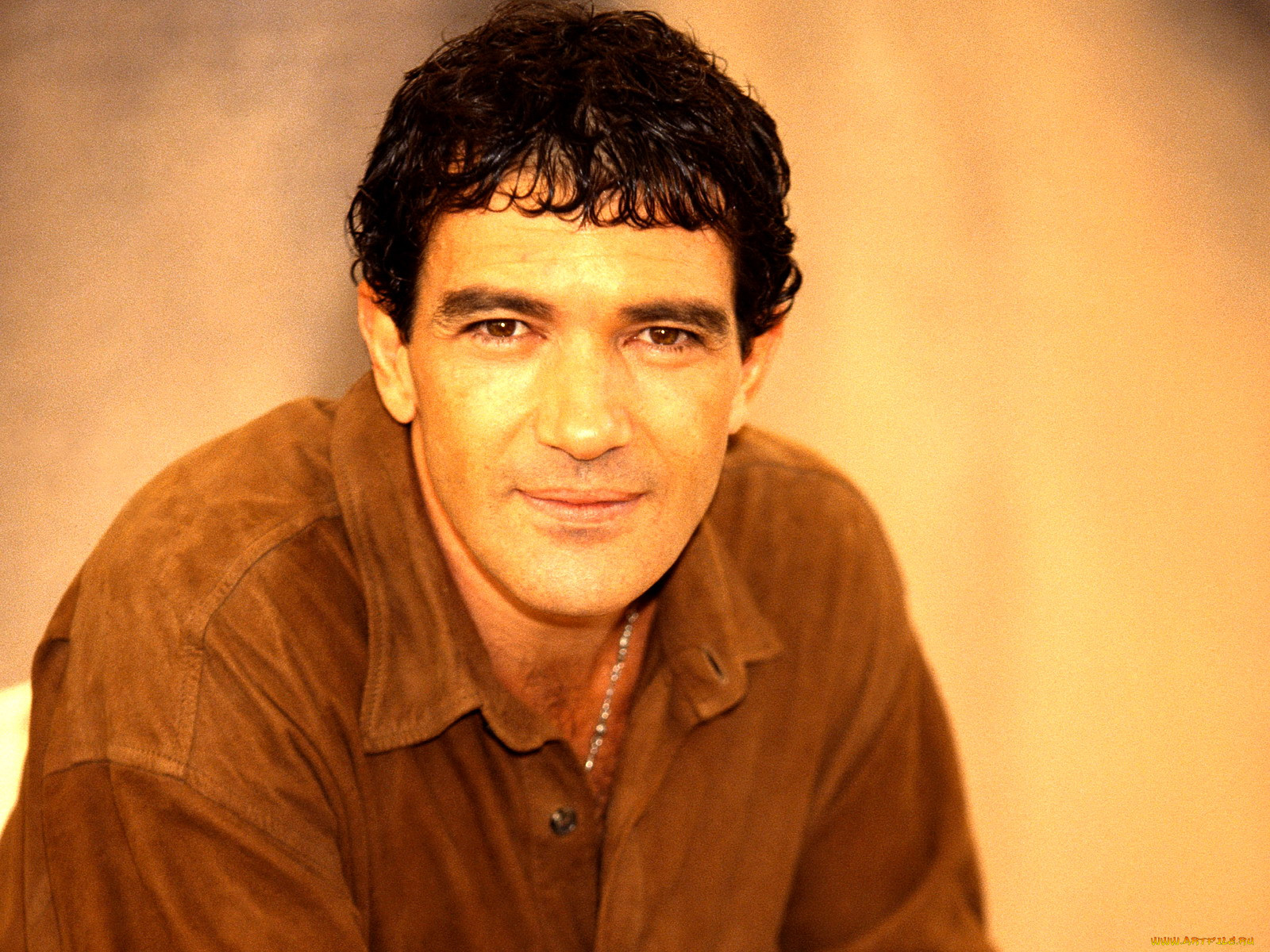 antonio, banderas, 